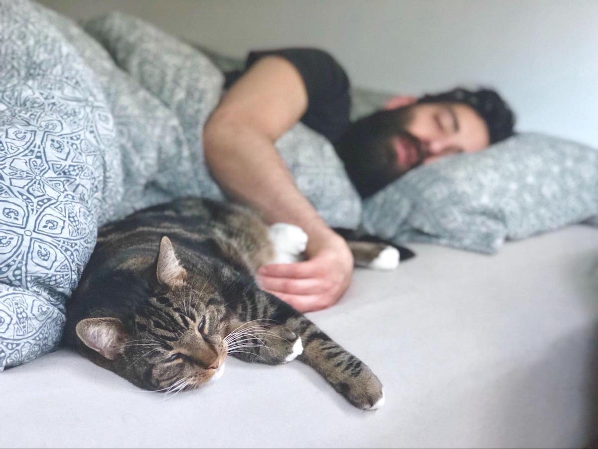 śpiący mężczyzna z kotem